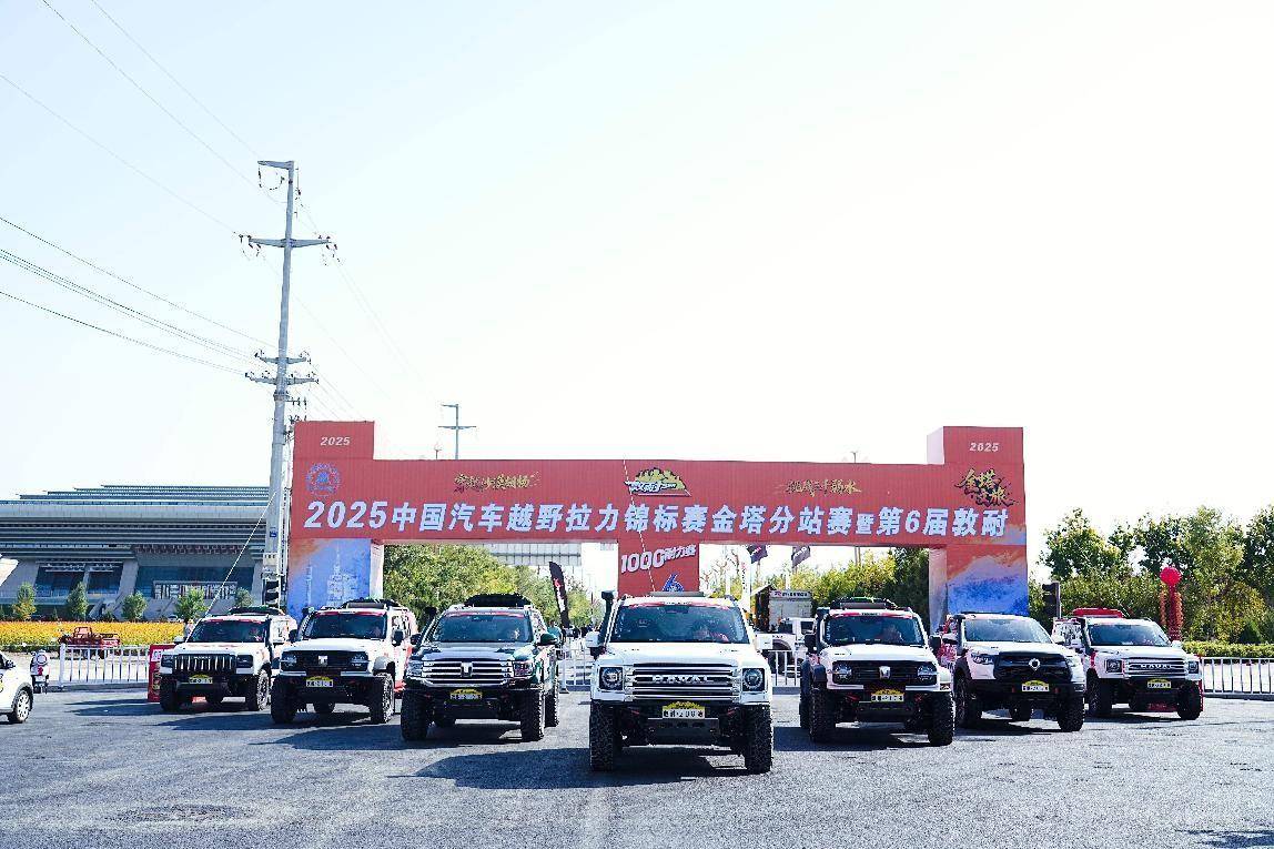 E组冠军, 中获取的技, amp