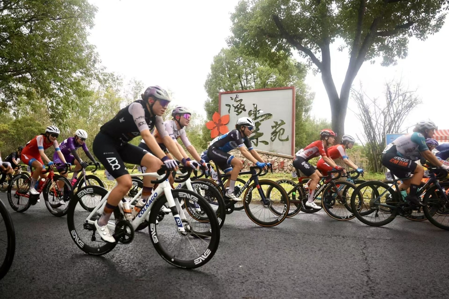 追随着世界, 上海企业, 圆点衫归属 追随着世界, 上海企业, 圆点衫归属